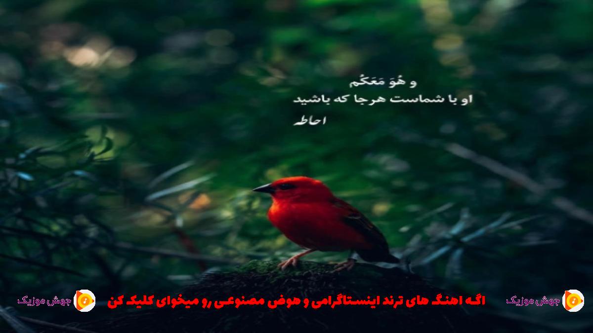 دانلود آهنگ تو چطوریه حالت الان خوبی من که شدم یه روانی مودی از 
